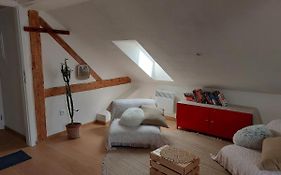 Apartman Mourek
